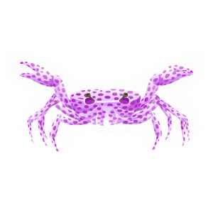 Pinchy the Polka Crab